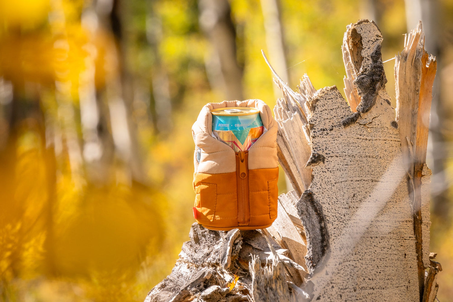 Beer in Can Sleeve in the Woods