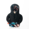 The Hoodie