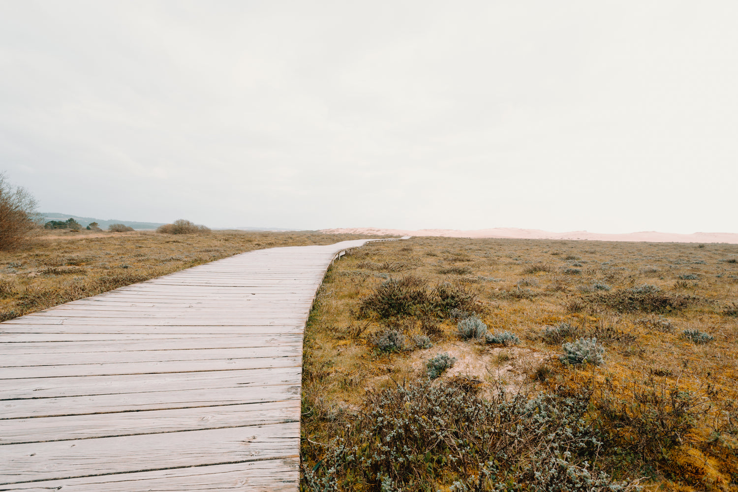 Boardwalk walkway through field