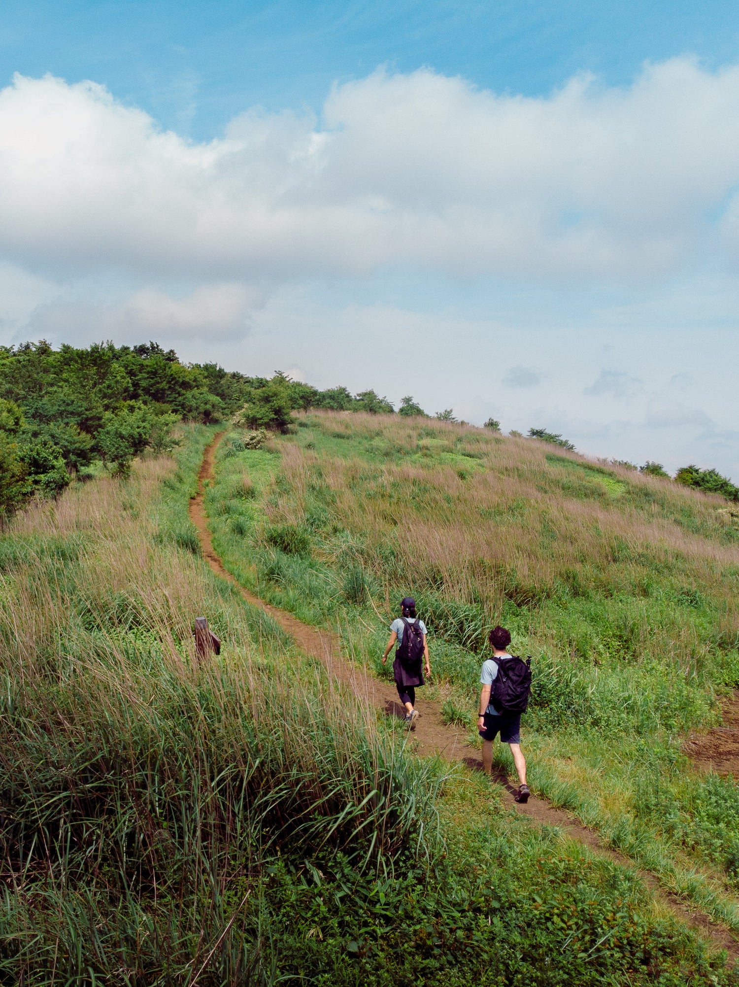 two-backpackers-taking-the-path-on-a-green-hill